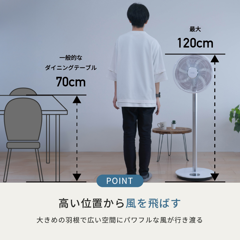 特徴