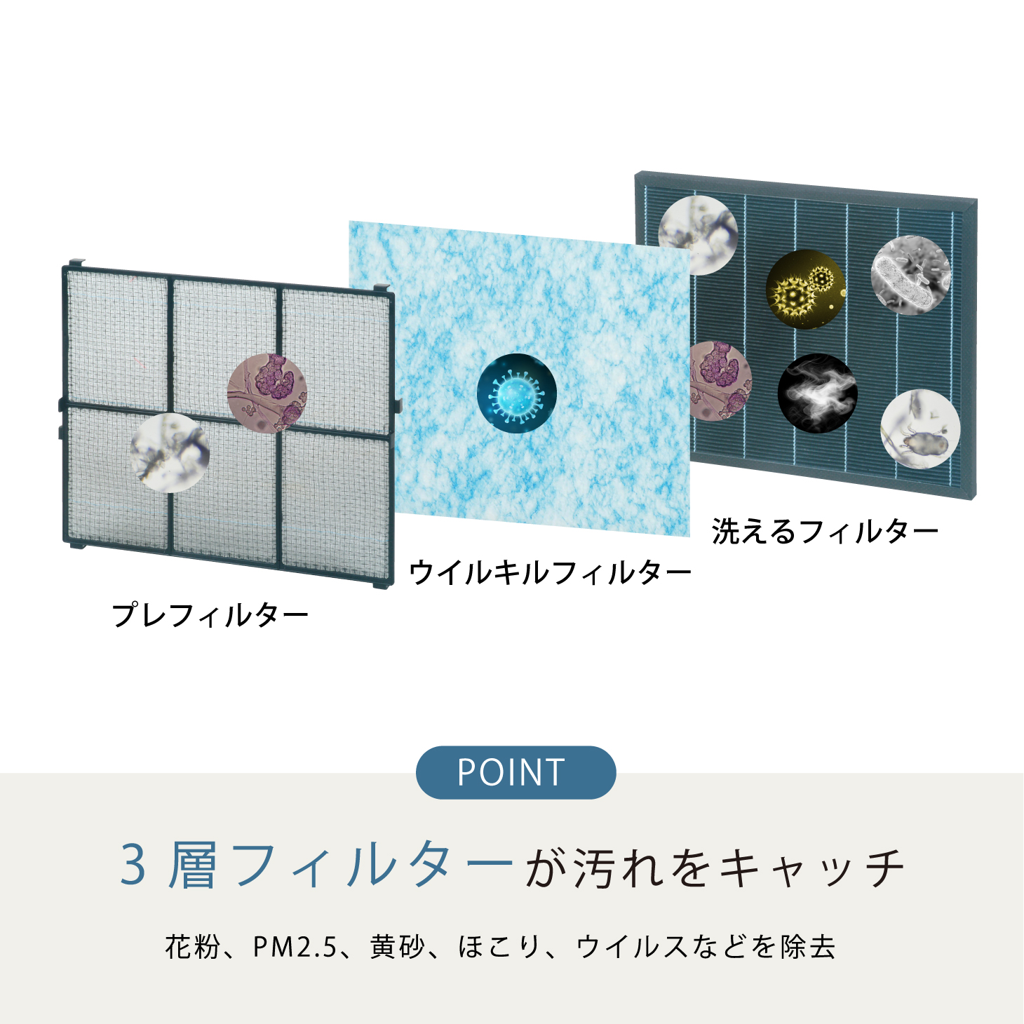 特徴