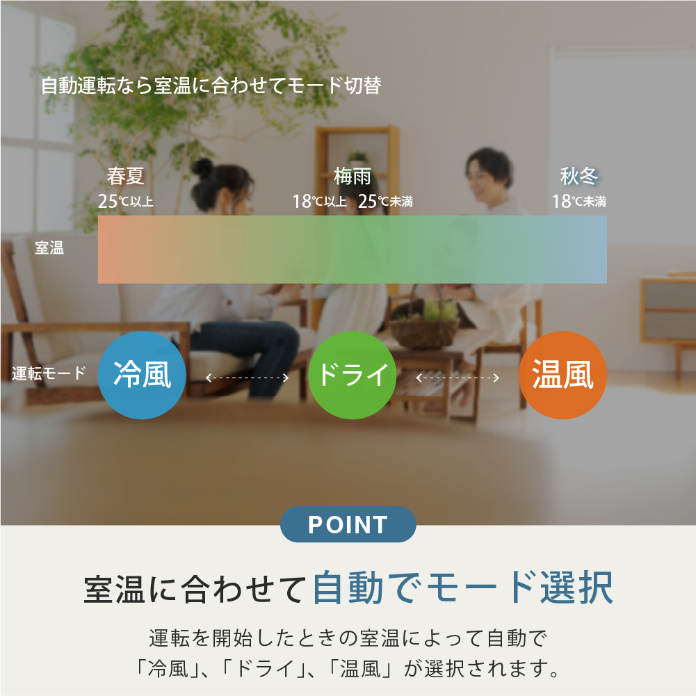 特徴